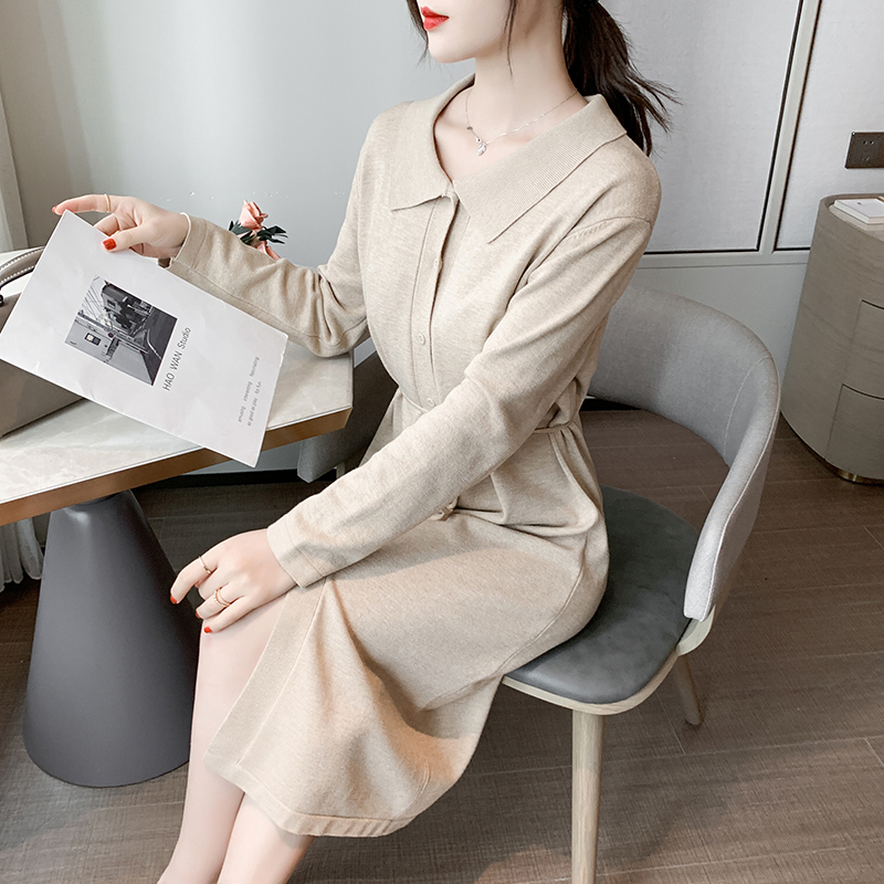 实拍中长款收腰连衣裙女秋季2020年新款韩版宽松时尚长袖裙子