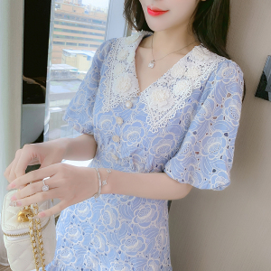 Embroidered lace neckline with slim waist and Ruffle Dress