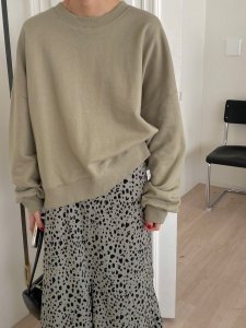 PS52567# 韩国chic小众设计感后背开衩卫衣上衣女 服装批发女装直播货源