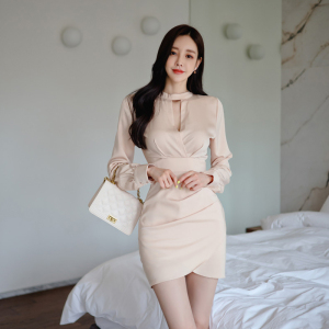 Fashionable temperament， elegant and thin character， buttock bottom stand collar dress