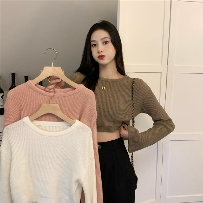 Actual shot of bell-sleeved high-waisted round-neck sweater for women long-sleeved knitted short bottoming shirt top