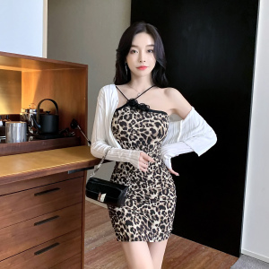 Two Piece Slim Fit Leopard Pattern Sexy Strap Wrap Hip Dress Set