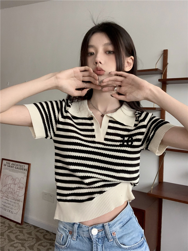 2023 summer new Korean style retro polo collar striped embroidery design sense knitted short-sleeved all-match top