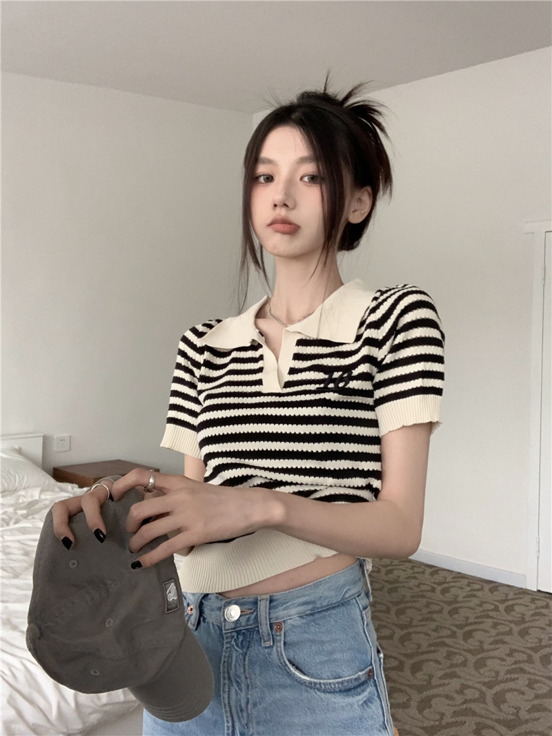 2023 summer new Korean style retro polo collar striped embroidery design sense knitted short-sleeved all-match top