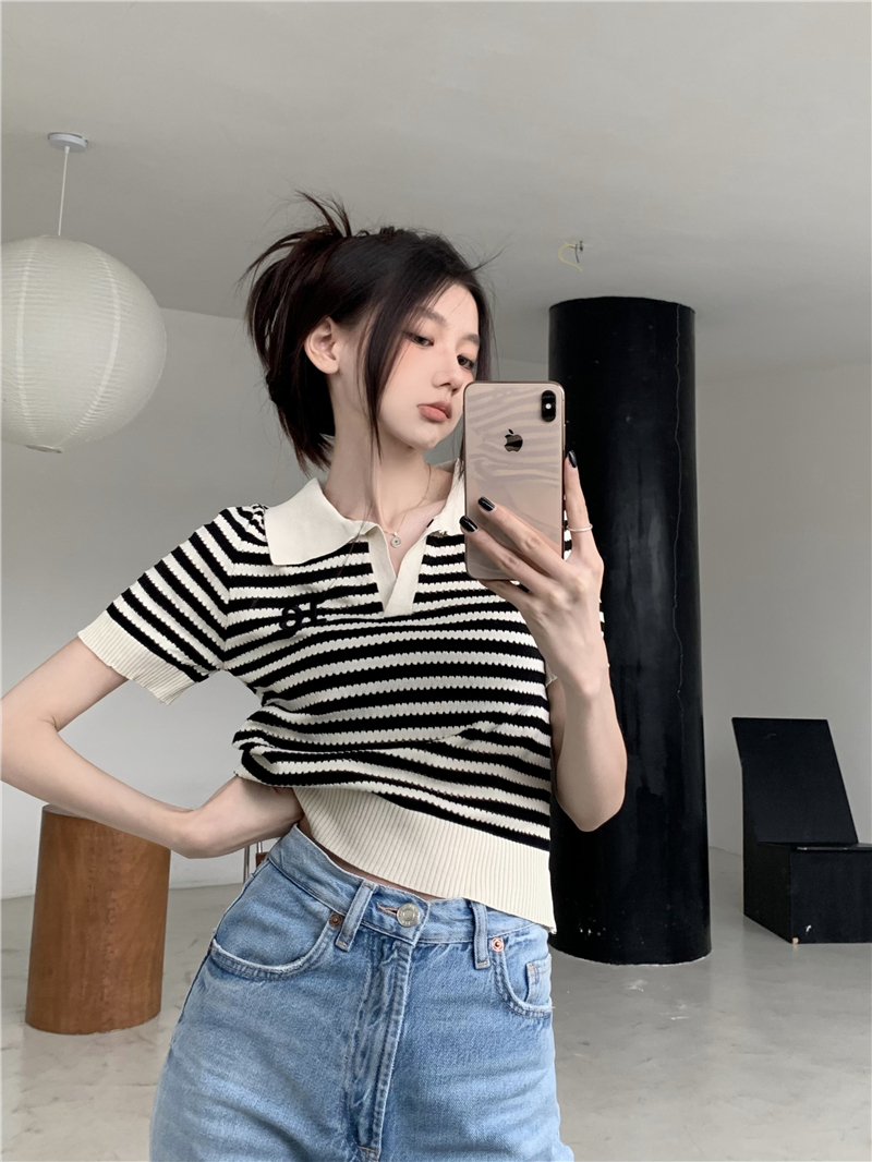  summer new Korean style retro polo collar striped embroidery design sense knitted short-sleeved all-match top