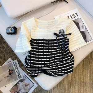 TR35529# 夏季新款设计感气质小众短袖T恤撞色冰丝针织女 服装批发女装服饰货源