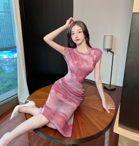 Two piece Chinese style ink painting mesh dress set with suspender dress