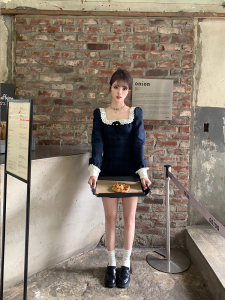 TR49081# 复古维系格韩系复古学院格纹连衣裙  服装批发女装批发服饰货源