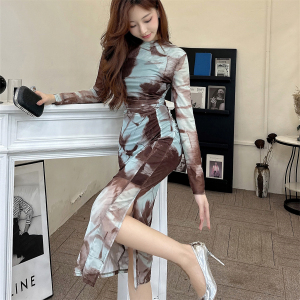 Slim design with waistband for a niche round neck， ink painting dress with waistband