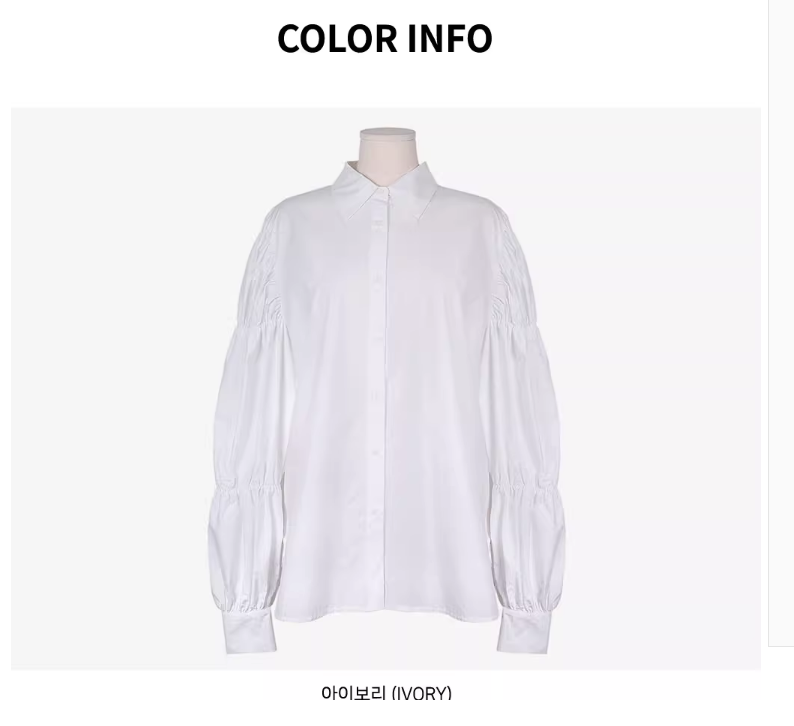 2023秋季新款泡泡袖衬衣设计感小众白色早秋宽松洋气上衣女士衬衫