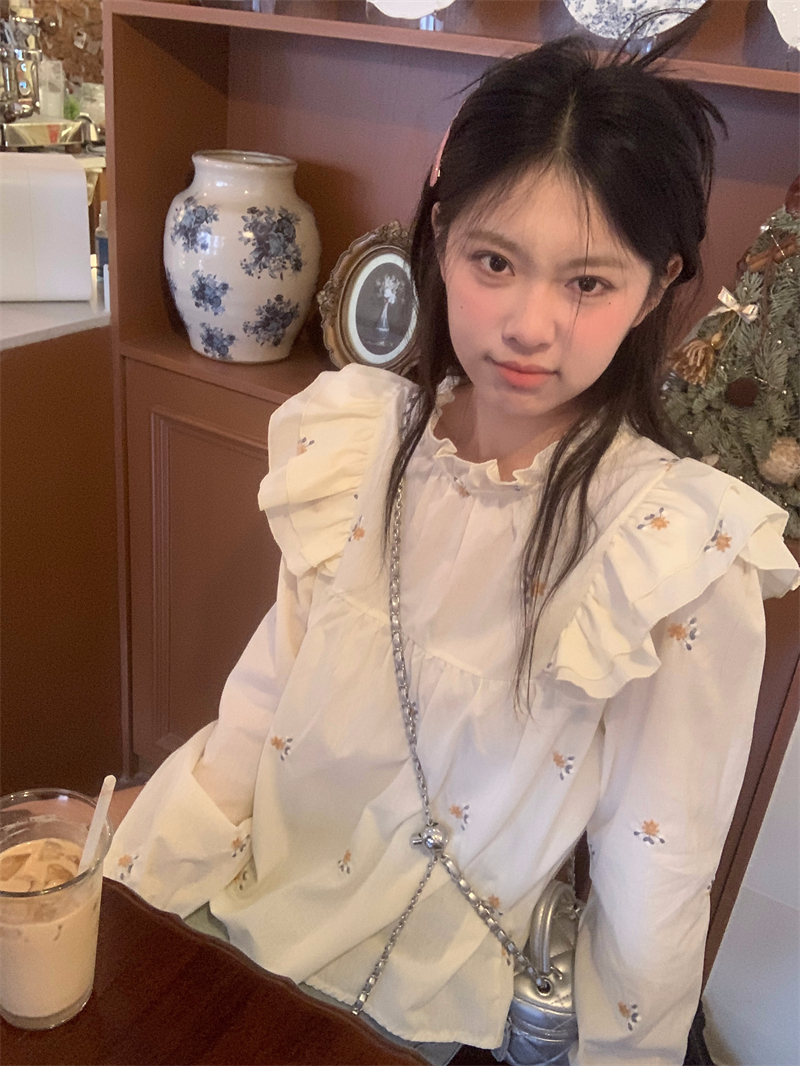 Real shot of new spring design baby doll shirt with lotus leaf embroidery, loose French sweet temperament long-sleeved shirt