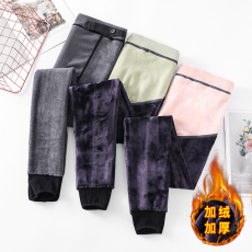 批发实拍护腰护宝纯棉紫貂绒秋冬孕妇加绒加厚保暖打底<b class='q'>袜</b>一体裤