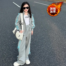 批发【加绒加厚】女童秋冬套装洋气2025<b class='q'>儿童</b>春链外套女孩<b class='q'>运动服</b>两件套
