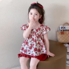 批发休闲舒适女孩套装夏季新款碎花短袖上衣<b class='q'>T</b><b class='q'>恤</b>花边短裤女<b class='q'>宝宝</b>公主装