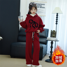 批发<b class='q'>女童</b>套<b class='q'>装</b>秋冬款2025新款儿童蝴蝶结卫衣运动两件套大童本命年衣服