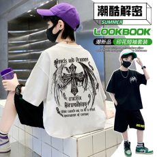 批发<b class='q'>男童</b>潮<b class='q'>牌</b>夏装套装宽松休闲运动纯棉短袖五分短裤中大儿童两件套潮