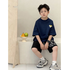 批发<b class='q'>男</b><b class='q'>童</b>潮牌夏装套装宽松休闲运动纯棉短袖五分短裤<b class='q'>中大</b>儿童两件套潮
