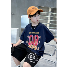 批发<b class='q'>男</b><b class='q'>童</b>潮牌夏装套装宽松休闲运动纯棉短袖五分短裤<b class='q'>中大</b>儿童两件套潮