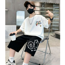 批发男童潮牌夏装套装宽松休闲运动纯棉短袖五分短裤中大<b class='q'>儿童</b>两件套潮