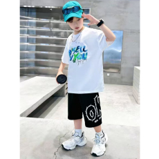 批发<b class='q'>男童</b>潮<b class='q'>牌</b>夏装套装宽松休闲运动纯棉短袖五分短裤中大儿童两件套潮