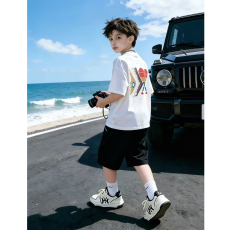 批发<b class='q'>男童</b>潮<b class='q'>牌</b>夏装套装宽松休闲运动纯棉短袖五分短裤中大儿童两件套潮