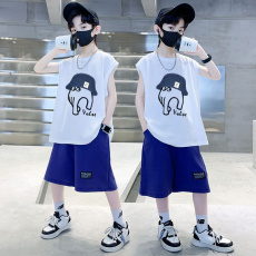 批发<b class='q'>男童</b>夏<b class='q'>季</b>套装儿童夏装短裤无袖T恤2025新款中大童运动休闲两件套
