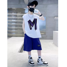 批发<b class='q'>男童</b>夏<b class='q'>季</b>套装儿童夏装短裤短袖T恤2026新款中大童运动休闲两件套