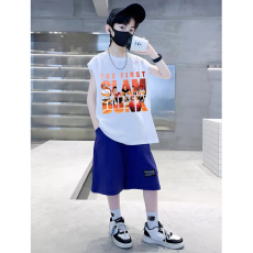 批发<b class='q'>男童</b>夏<b class='q'>季</b>套装儿童夏装短裤短袖T恤2026新款中大童运动休闲两件套