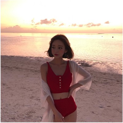 泳衣女2019新款性感比基尼两件套显瘦遮肚温泉款小胸泳装网红款