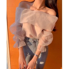 批发已出货  法式浪漫一字肩超仙氛围感透明网纱长袖上衣  隐约小性感