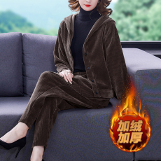 批发2021秋<b class='q'>冬</b>季新款纯色加绒加厚套装