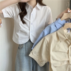 批发实拍实价 夏季新款韩版洋气设计感打褶短款减龄<b class='q'>短袖</b><b class='q'>衬衫</b>