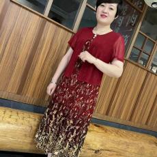 批发新款孔雀花假两件短袖连衣裙连衣裙中年妈妈遮肚显瘦网纱碎花裙子