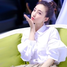 批发宽松衬衫女泡泡袖上衣设计感小众<b class='q'>明星</b>同款灯笼袖白色衬衣