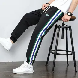casual pants