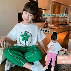 批发<b class='q'>女童</b>夏<b class='q'>季</b>套装夏装新款洋气女孩子短袖T恤网红炸街中大童两件套潮