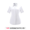 TL8601V女款短袖白色衬衫（V领）