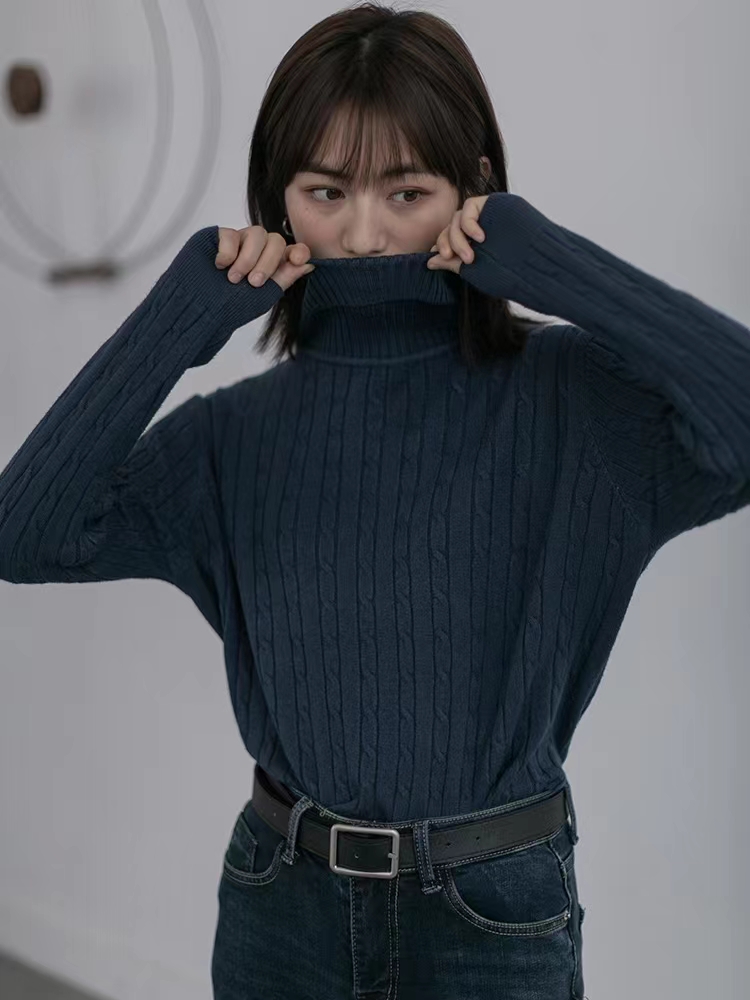 LRUD Turtleneck Sweater Women's Spring and Autumn New Early Spring Clothes Black Outerwear Bottoming Shirt Tops Knitted Sweater