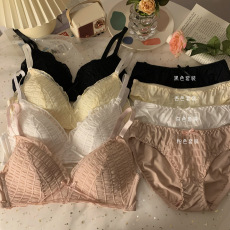 批发实价实拍法式三角杯聚拢收副乳舒适轻薄蕾丝无钢圈显胸小套装