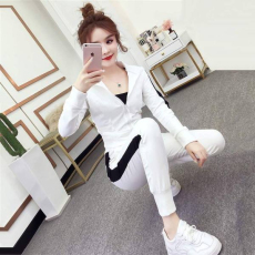 批发网红休闲套装女秋<b class='q'>冬</b>洋气性感小脚裤显瘦拉链运动服气质两件套