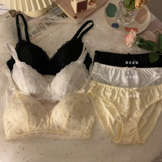 批发实价实拍 聚拢内衣复古油画玫瑰无钢圈调整型少女性感文胸罩