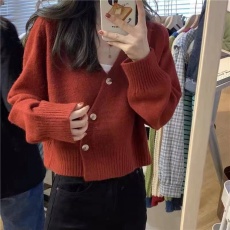 批发V领开<b class='q'>衫</b>毛衣女春秋外穿设计感宽松慵懒风别致小众短款针织上衣