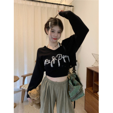 批发美式字母刺绣<b class='q'>长袖</b><b class='q'>t</b><b class='q'>恤</b>女秋季设计感小众独特别致宽松显瘦短款上衣