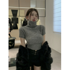批发<b class='q'>实拍</b>实价 高领修身打底衫女春夏内搭短袖紧身高级感短款上衣