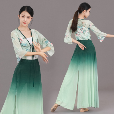 中国舞古典舞纱衣舞蹈练功服装女上衣飘逸套装演出服仙气夏季新款