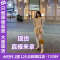连衣裙2020新款夏亮片吊带裙闺蜜装很仙的法国小众桔梗裙仙女裙子轮播图1