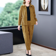 批发2023<b class='q'>春</b>季新款中老年妈妈套装