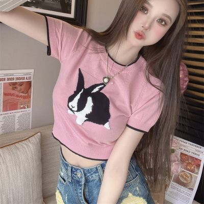 童趣风兔子粉色短袖t恤女设计感小众夏季独特别致纯欲甜辣妹上衣
