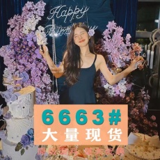 批发赵露思<b class='q'>明星</b><b class='q'>同款</b>法式气质方领细吊带显瘦a字短裙高级感复古小黑裙