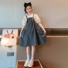 批发<b class='q'>女童</b>连<b class='q'>衣裙</b>夏装2026新款夏季洋气儿童公主裙女中大童<b class='q'>背带裙</b>两件套